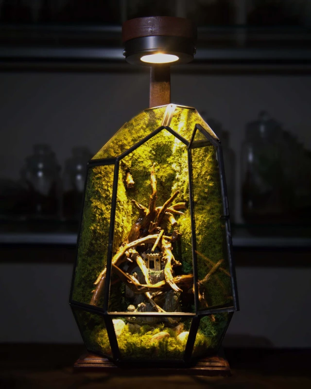 Geometric Prism Glass Terrarium – Zero Series