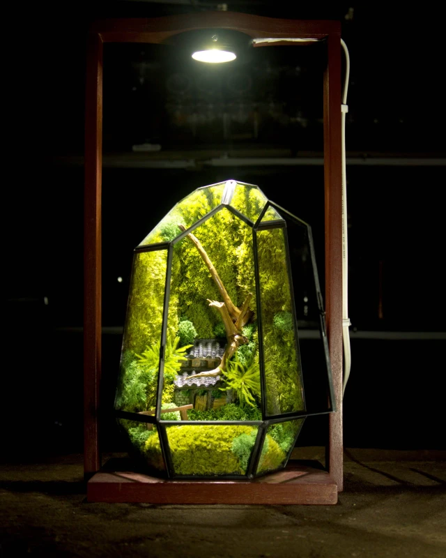 Geometric Prism Zero Terrarium